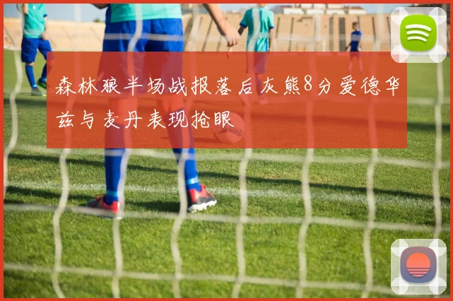 森林狼半场战报落后灰熊8分爱德华兹与麦丹表现抢眼